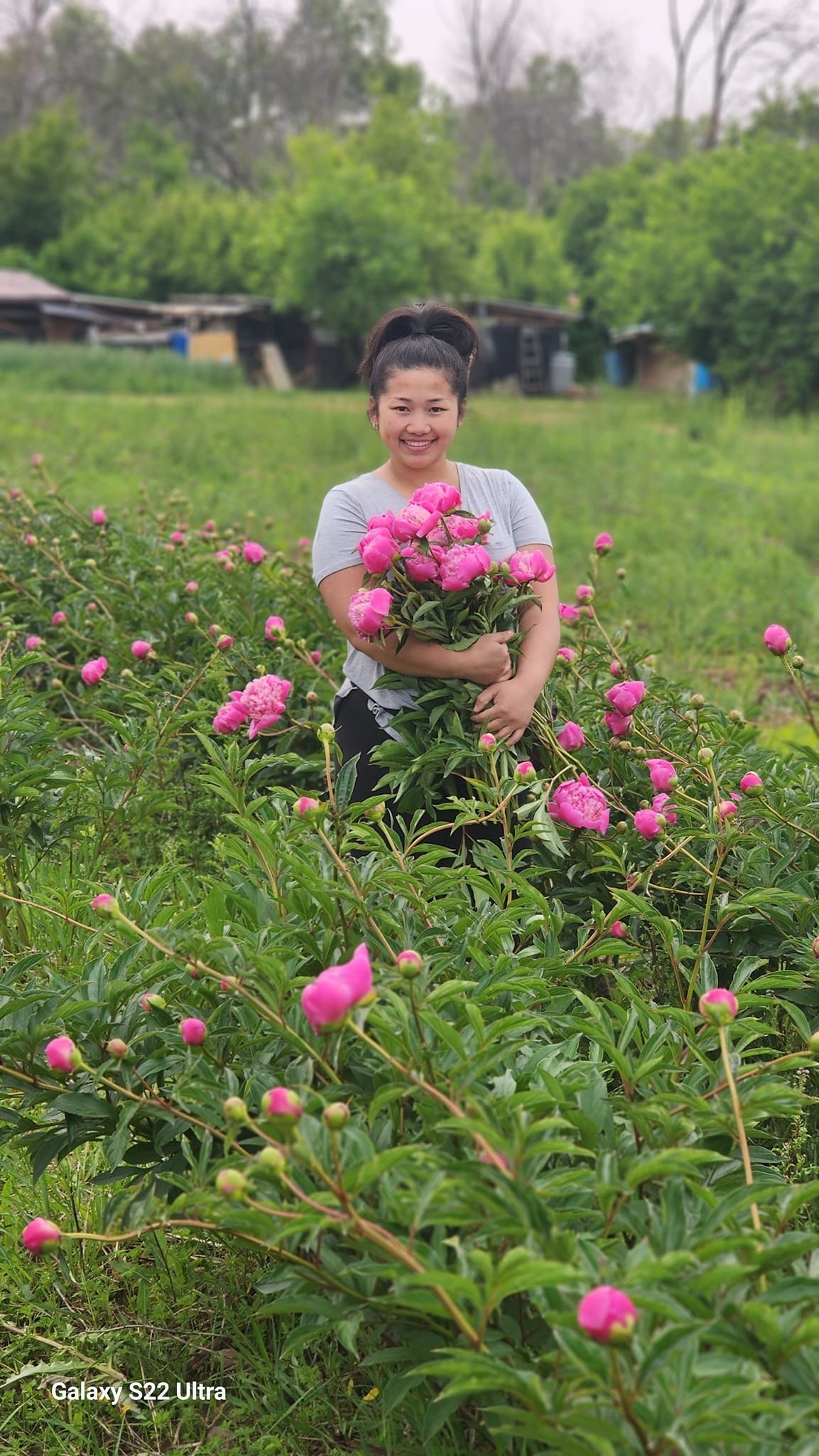 DAHLIAS R US